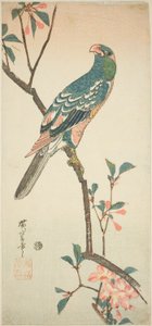 Papağan çiçek açan bir dalda by Utagawa Hiroshige