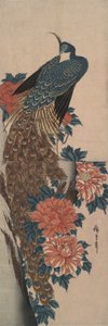 Tavus kuşu ve şakayık by Utagawa Hiroshige