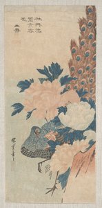 ನವಿಲು ಮತ್ತು ಪಿಯೋನಿಗಳು, c.1830 ಟರ್ಕ್