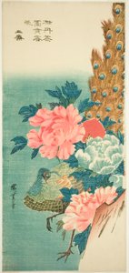 Tavus kuşu ve şakayık by Utagawa Hiroshige