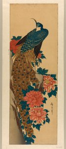 Tavus kuşu ve şakayık by Utagawa Hiroshige