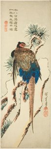 Karla Kaplı Çam Ağacında Sülün by Utagawa Hiroshige