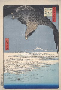 Edo