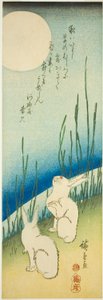 Dolunay altında tavşanlar by Utagawa Hiroshige