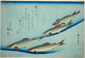 nehir alabalığı by Utagawa Hiroshige