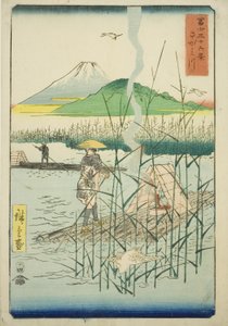 Sagami Nehri (Sagamigawa), "Fuji Dağı