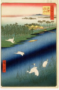 Sakasai Feribotu, Edo