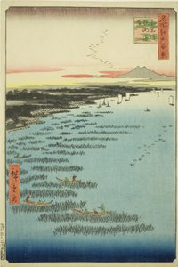 Güney Shinagawa'daki Samezu Sahili (Minami-Shinagawa Samezu kaigan), "Edo'nun Yüz Ünlü Manzarası (Meisho Edo hyakkei)" dizisinden by Utagawa Hiroshige