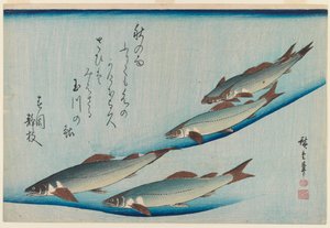 Balık Serisinden Beş Koltuklu Alabalık Okulu, c.1835 (tahta blok renkli baskı) by Utagawa Hiroshige