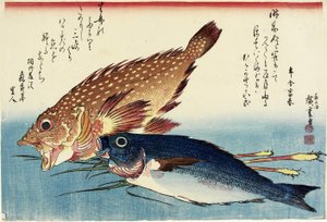 Scorpionfish, Chicken Grunt ve Ginger Shoots, c. 1832