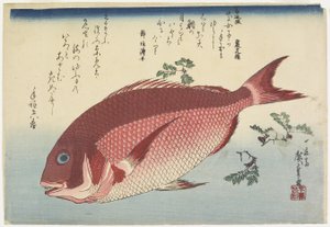 Çipura ve Sansho_Sprigs, c. 1832