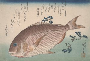Çipura ve Sansho Biber, c.1830