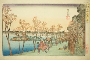 Shinobizu Pon d at (üst Shinobizu göleti), "Fanet in Pa back in üyesi Edo (ünlü yer)" serisinden by Utagawa Hiroshige