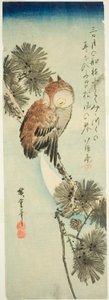 Küçük boynuzlu baykuş, çam ve hilal by Utagawa Hiroshige