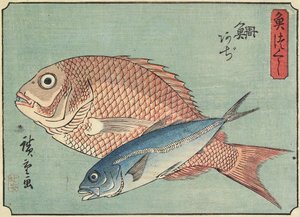 Snapper ve Uskumru, 1830-1844