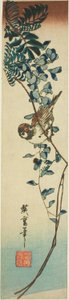 Serçe ve wisteria by Utagawa Hiroshige