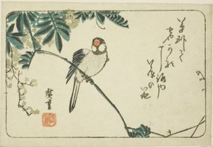 Serçe ve wisteria by Utagawa Hiroshige