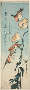 Serçeler ve haşhaşlar by Utagawa Hiroshige
