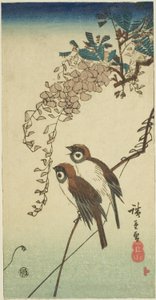 Serçeler ve wisteria by Utagawa Hiroshige