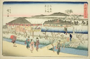"Edo