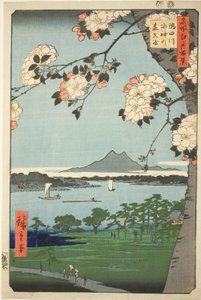 Mizukami Sh Hattı Önerisi d İlk Ses Te Sumida Nehri (Sumidagawa Mizukami no Mori First), Teserie