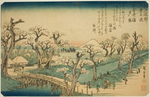 Cun t Gw at Koganei B Sırtı (Koganei-Bashi Sekisho), tema serisinden "Edo çevresinin İngiliz ght görünümü (Edo güvenli sekiz görünüm dışında)" by Utagawa Hiroshige