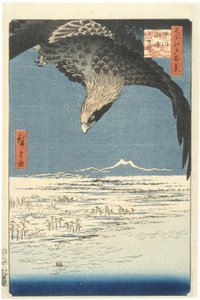 Edo