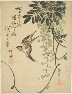 Kırlangıç ve wisteria by Utagawa Hiroshige