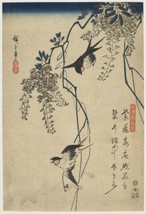 Wisteria Vines Arasında Uçan Kırlangıçlar, 1837-44 (renkli tahta baskı)