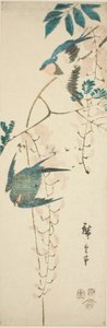Kırlangıçlar ve wisteria by Utagawa Hiroshige