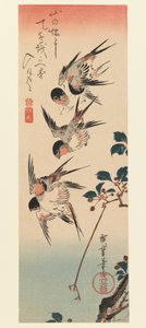 Tanzaku, Dört Kırlangıç, 1832 (renkli tahta baskı) by Utagawa Hiroshige