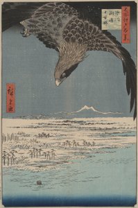 Fukagawa Susaki