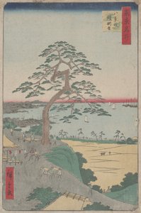 Edo
