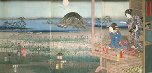 Leydi Fujitsubo, Prens Genji