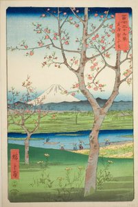 Musashi Eyaletindeki Koshigaya