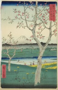 Musashi Eyaletindeki Koshigaya