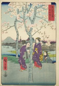 Doğu Başkentindeki Sumida Dolgusu (Toto Sumida-zutsumi), "Fuji Dağı'nın Otuz Altı Görünümü (Fuji sanjurokkei)" serisinden by Utagawa Hiroshige