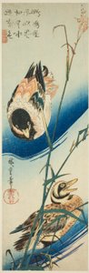 Sazlıklar Arasında Yüzen İki Ördek by Utagawa Hiroshige