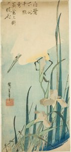Beyaz balıkçıl ve iris by Utagawa Hiroshige