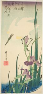Beyaz balıkçıl ve iris by Utagawa Hiroshige