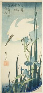 Beyaz balıkçıl ve iris by Utagawa Hiroshige