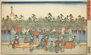 Kameido