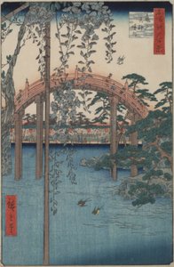 Edo