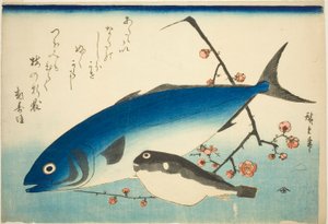 Sarıkuyruk, balon balığı ve erik dalı by Utagawa Hiroshige
