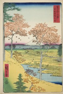 Doğu Başkentindeki Meguro'daki Yuhi Tepesi (Toto Meguro Yuhigaoka), "Fuji Dağı'nın Otuz Altı Manzarası (Fuji sanjurokkei)" serisinden by Utagawa Hiroshige