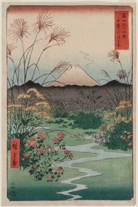 Kai Eyaletindeki ōtsuki Ovası (Kai ōtsuki no hara), Fuji Dağı