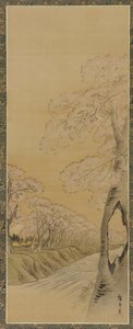 Peyzaj: Bir dere kenarında çiçek açan kiraz ağaçları, Edo dönemi, 1615-1868.