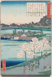 Shinobazu Göleti