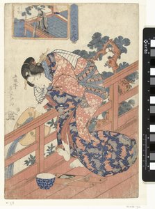 Courtesan, Koteiken