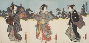 Murasaki Shibuku